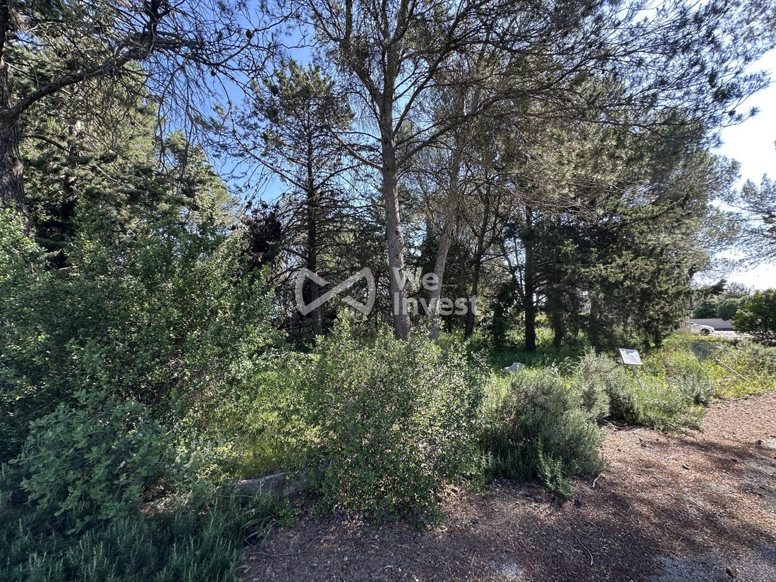 Apartment in Le Cres, Occitania, France 1 - 16021228