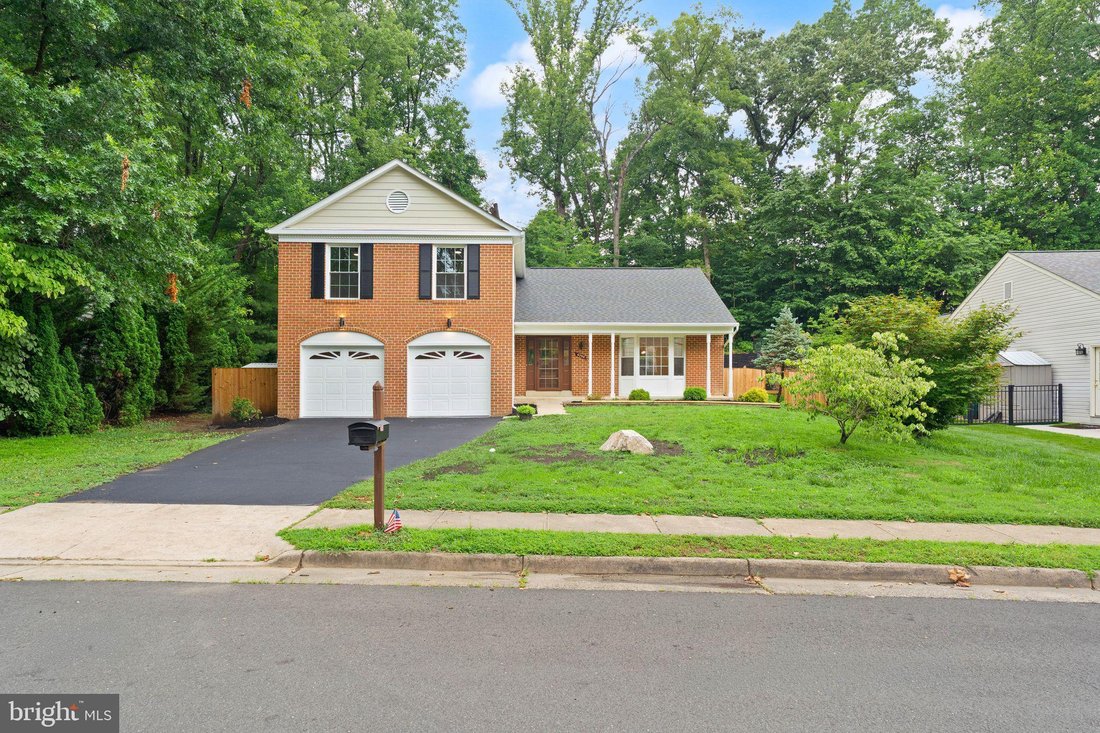 House in Springfield, VA, United States 3 - 18384052