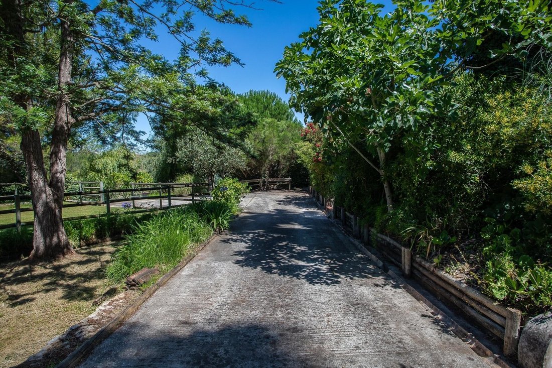 Farm Ranch in Loures, Lisbon, Portugal 3 - 18386956