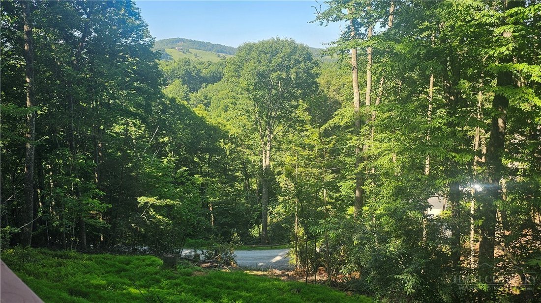 House in Boone, North Carolina, United States 5 - 18386299