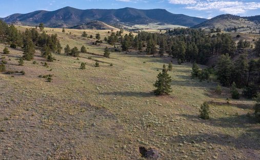Land in Guffey, Colorado, United States 1