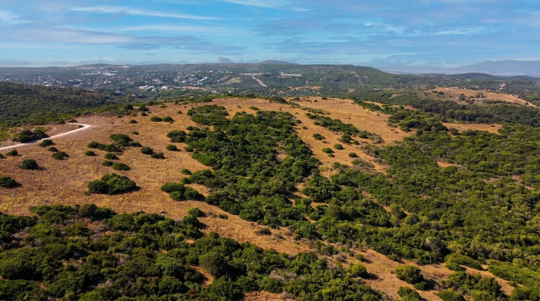 Land in Sotogrande, San Roque, Andalusia 4 - 15986341