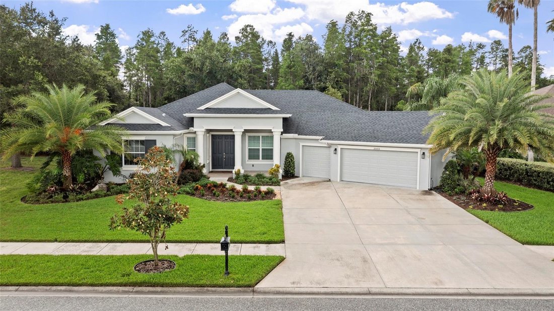 House in Land O' Lakes, Florida, United States 1 - 18387165
