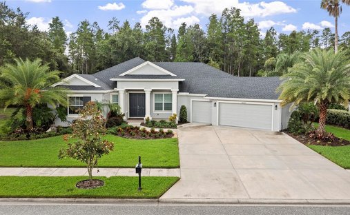 House in Land O' Lakes, Florida, United States 1