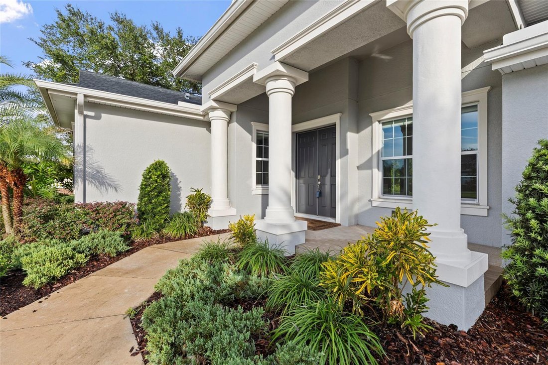 House in Land O' Lakes, Florida, United States 4 - 18387165
