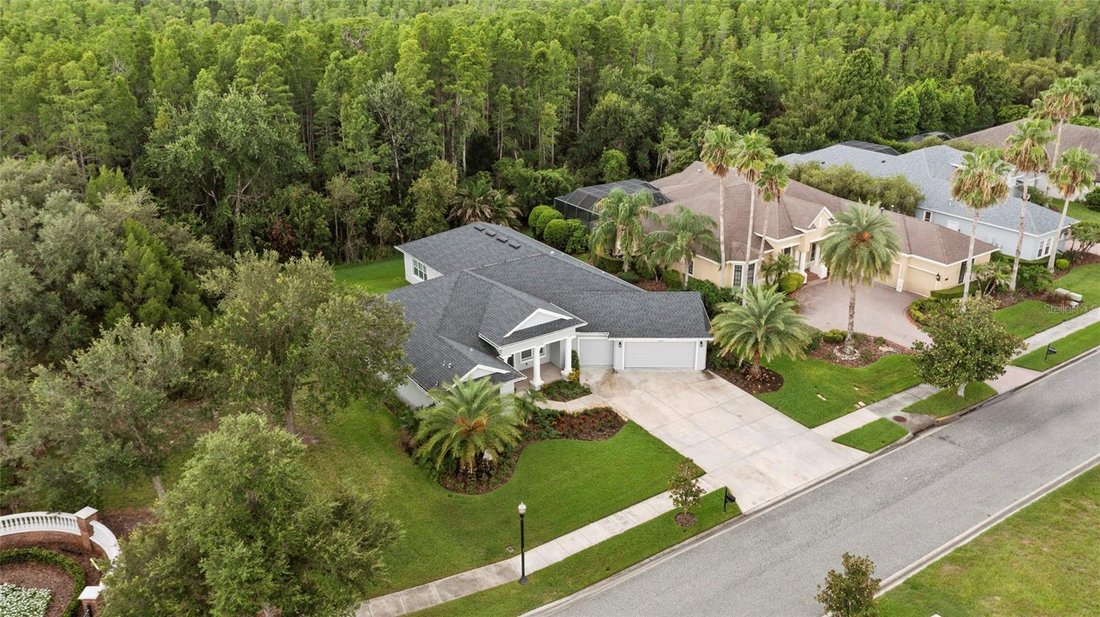 House in Land O' Lakes, Florida, United States 5 - 18387165