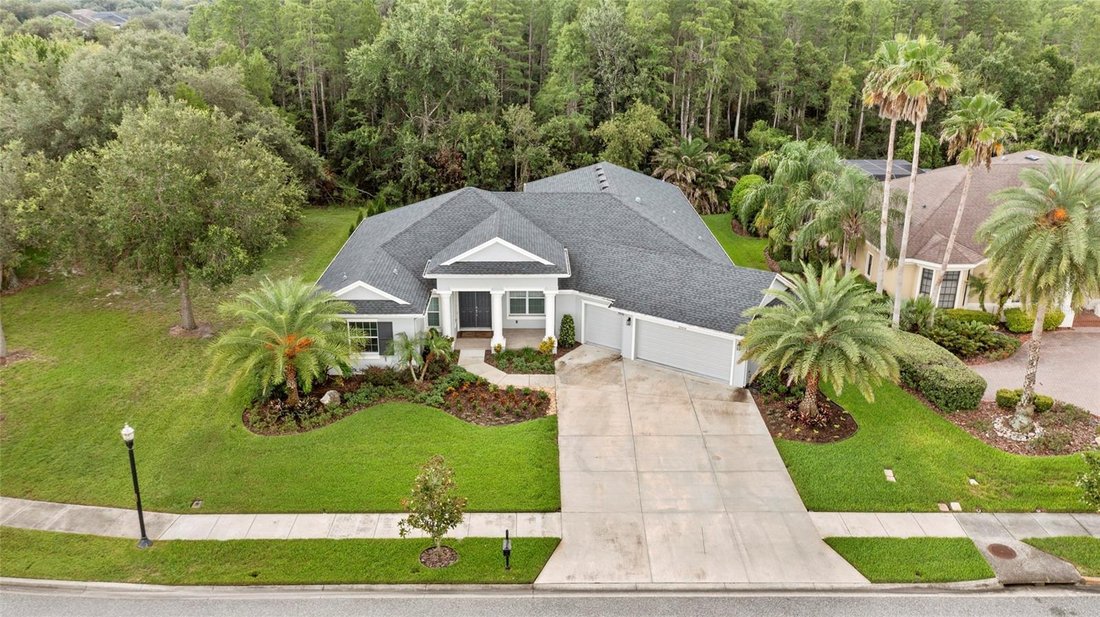 House in Land O' Lakes, Florida, United States 2 - 18387165