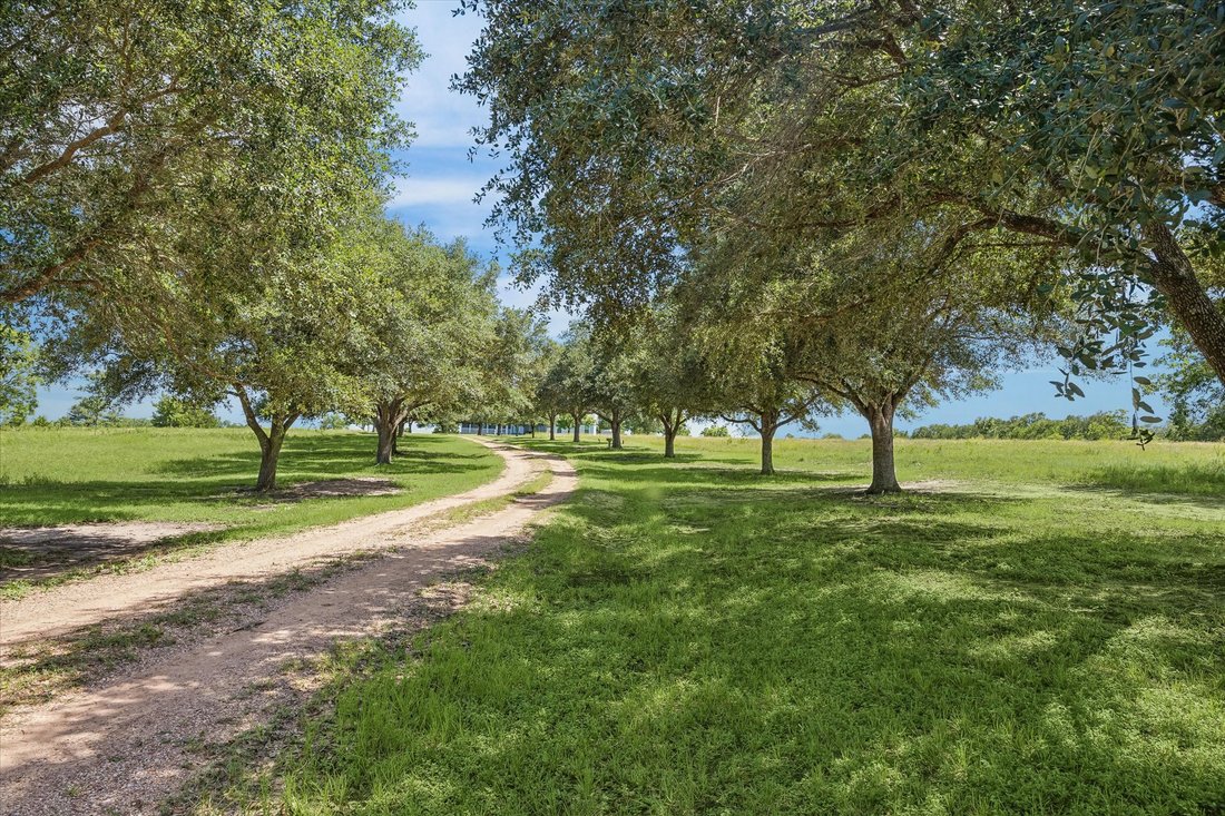 Washington, Texas, United States 5 - 18387520