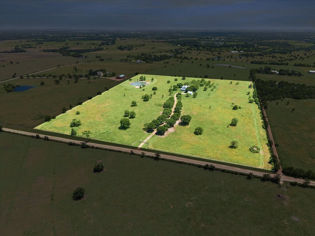 Washington, Texas, United States 3 - 18387520