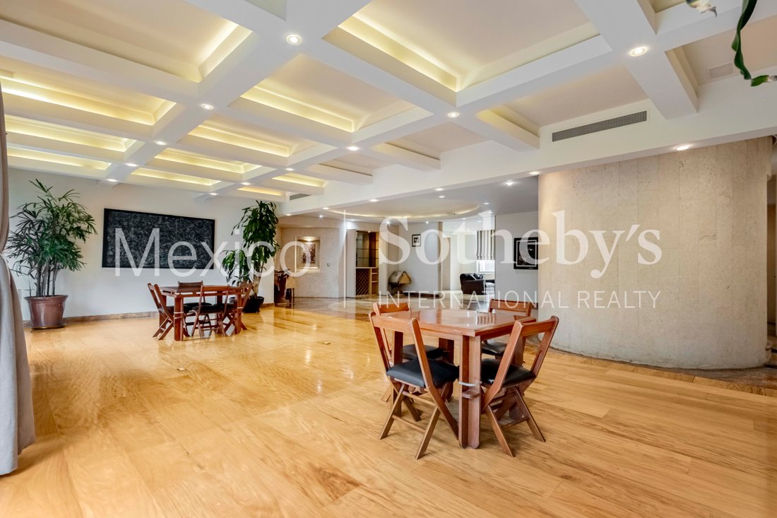Apartment in Mexico City, Mexico 3 - 18387523