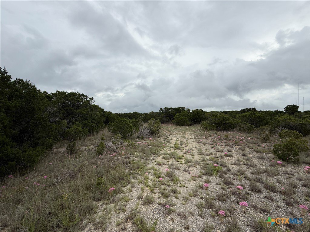 Farm Ranch in Salado, Texas, United States 5 - 18387445
