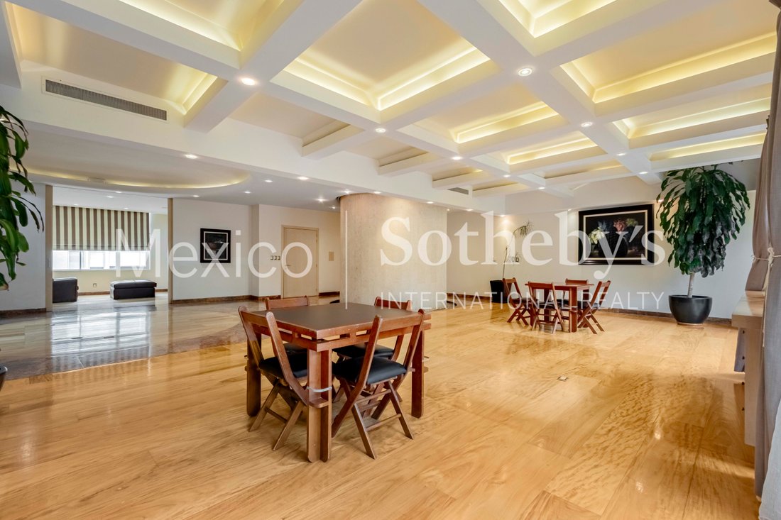 Apartment in Mexico City, Mexico 4 - 18387523