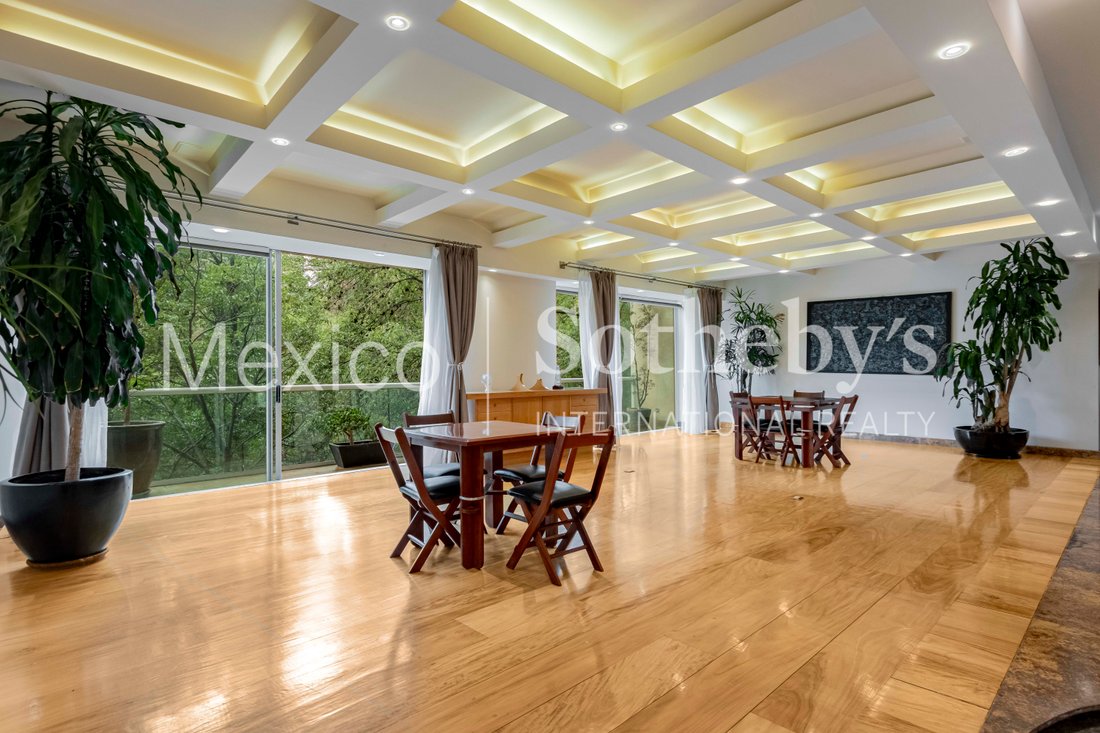 Apartment in Mexico City, Mexico 2 - 18387523