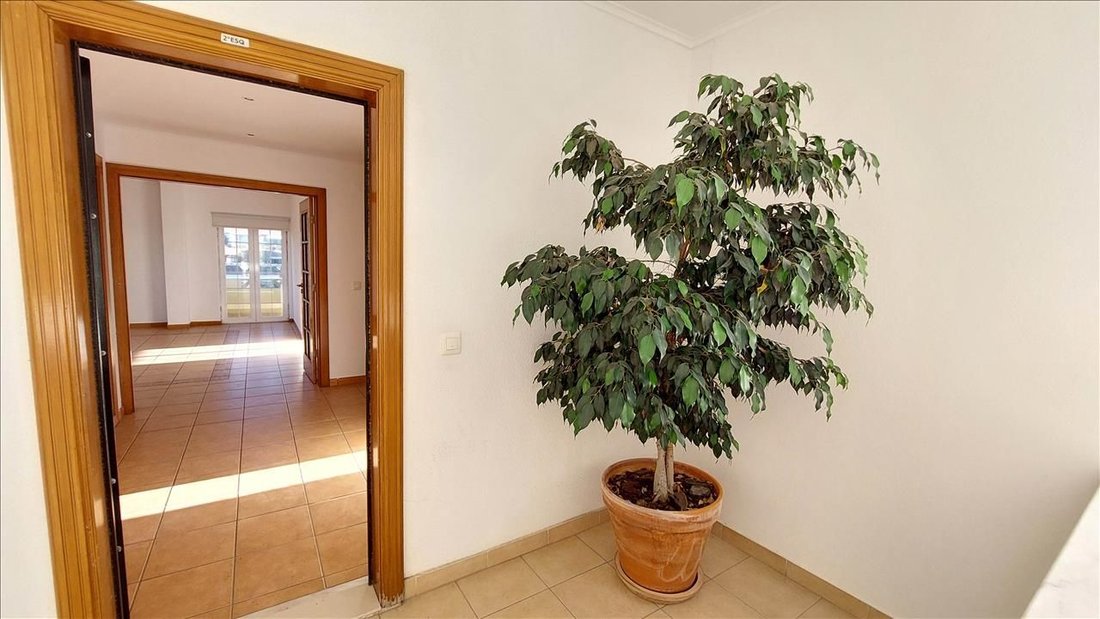 Apartment in Sintra, Lisbon, Portugal 3 - 16950177