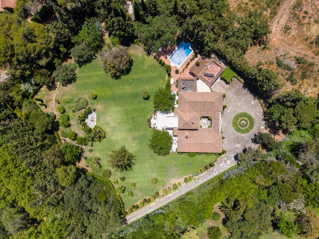 Villa in Sotogrande, San Roque, Andalusia 3 - 18248056
