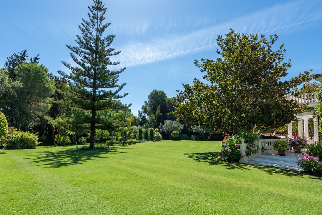 Villa in Sotogrande, San Roque, Andalusia 4 - 18248056