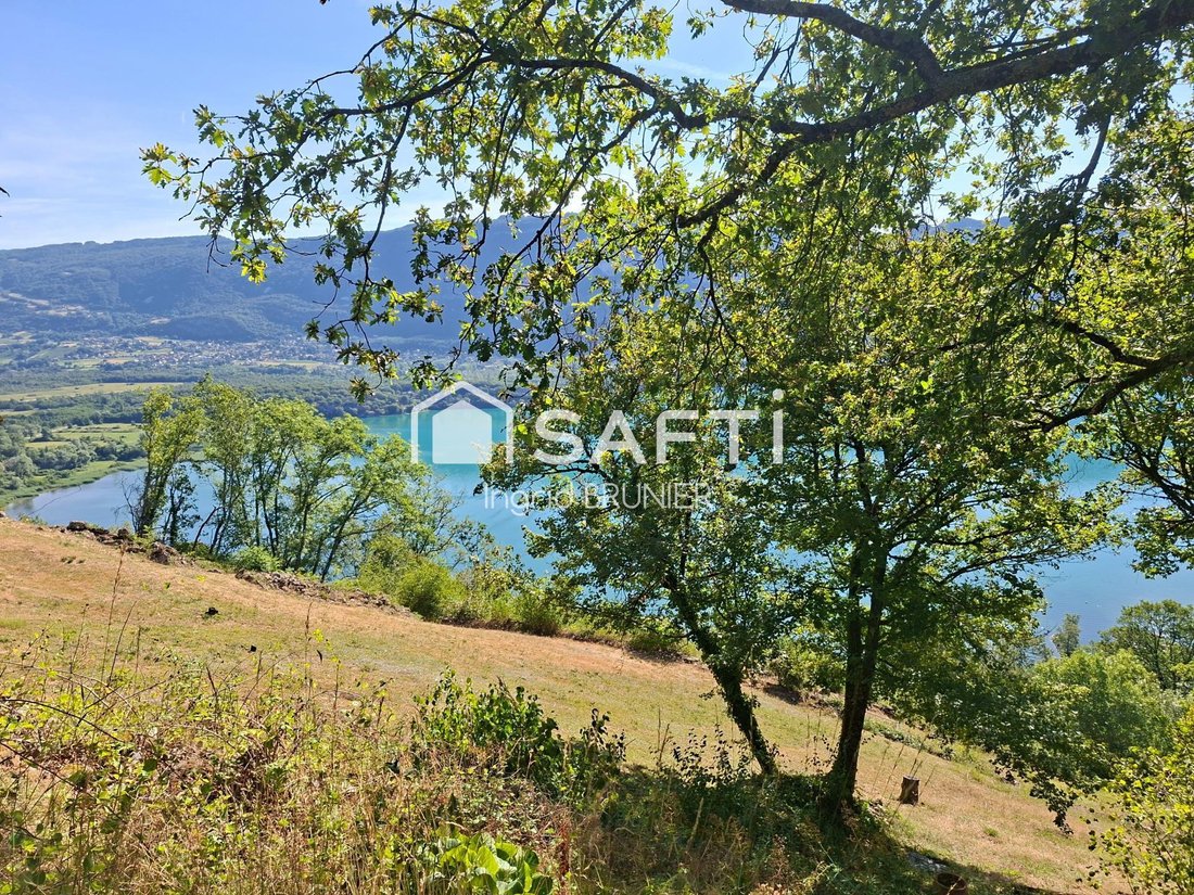Land in Conjux, Auvergne-Rhône-Alpes, France 1 - 18389681