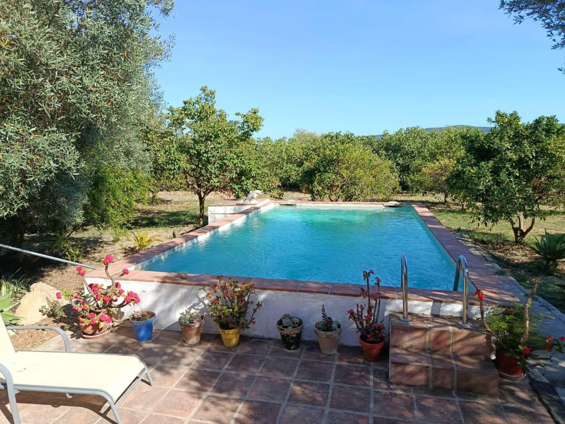 Finca in San Martin del Tesorillo, Andalusia, Spain 1 - 18389238