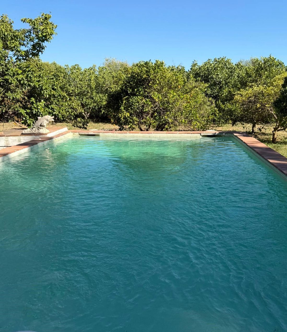 Finca in San Martin del Tesorillo, Andalusia, Spain 3 - 18389238