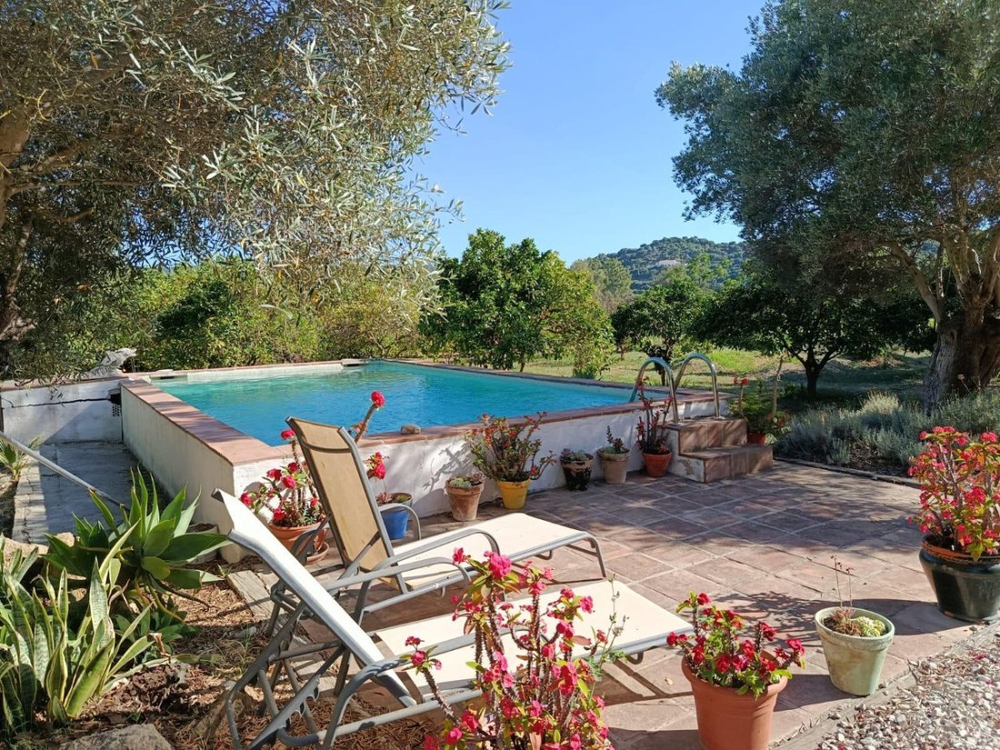 Finca in San Martin del Tesorillo, Andalusia, Spain 2 - 18389238