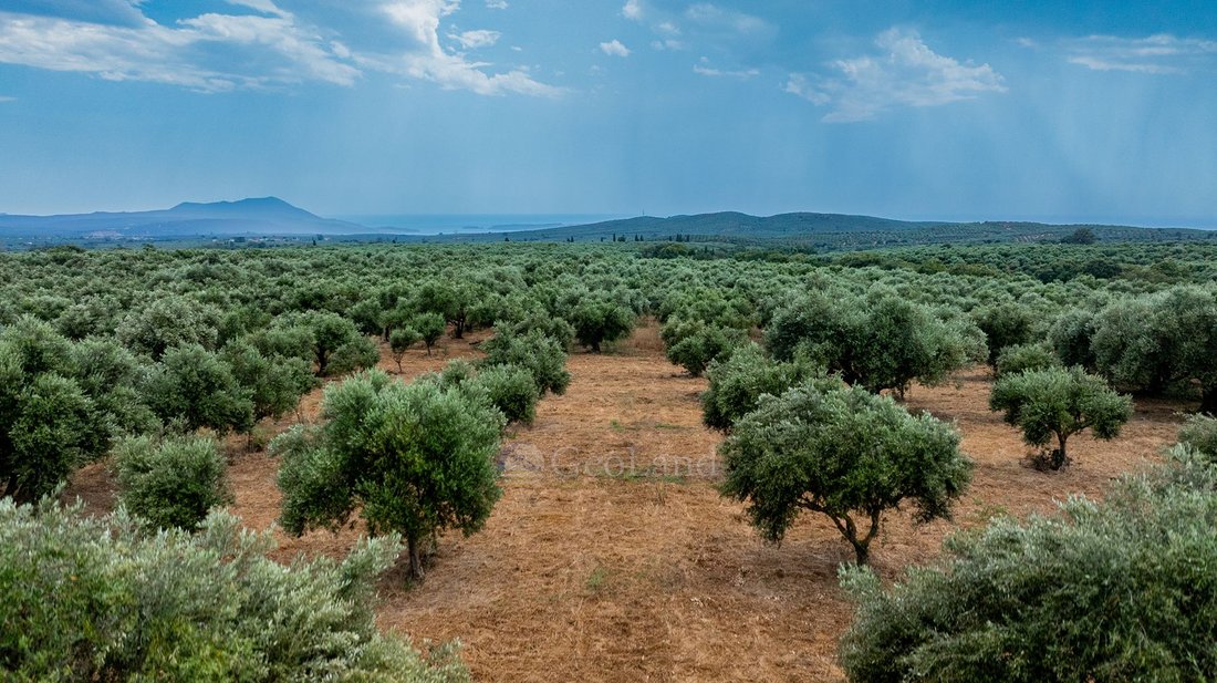 Land in Pylos and Nestor, Peloponnese, Western Greece and the Ionian, Greece 1 - 18389014