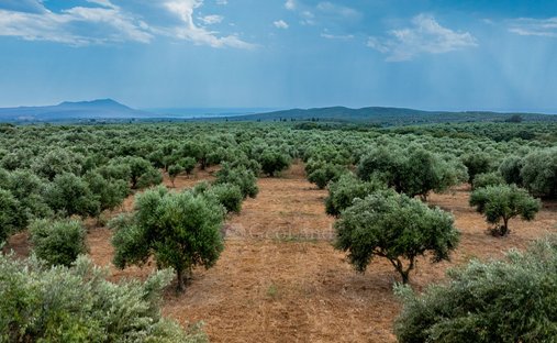 Terreno in Pylos and Nestor, Peloponnese, Western Greece and the Ionian, Grecia 1