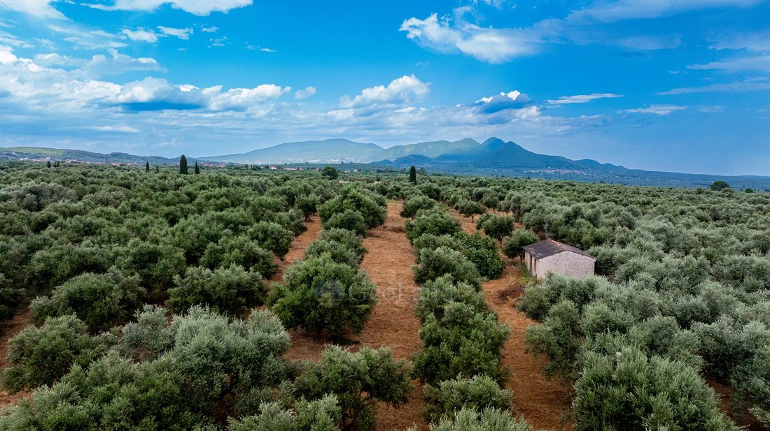 Land in Pylos and Nestor, Peloponnese, Western Greece and the Ionian, Greece 4 - 18389014