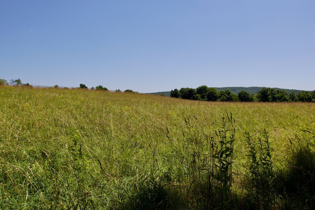 House in Hillsdale, New York, United States 4 - 16776793