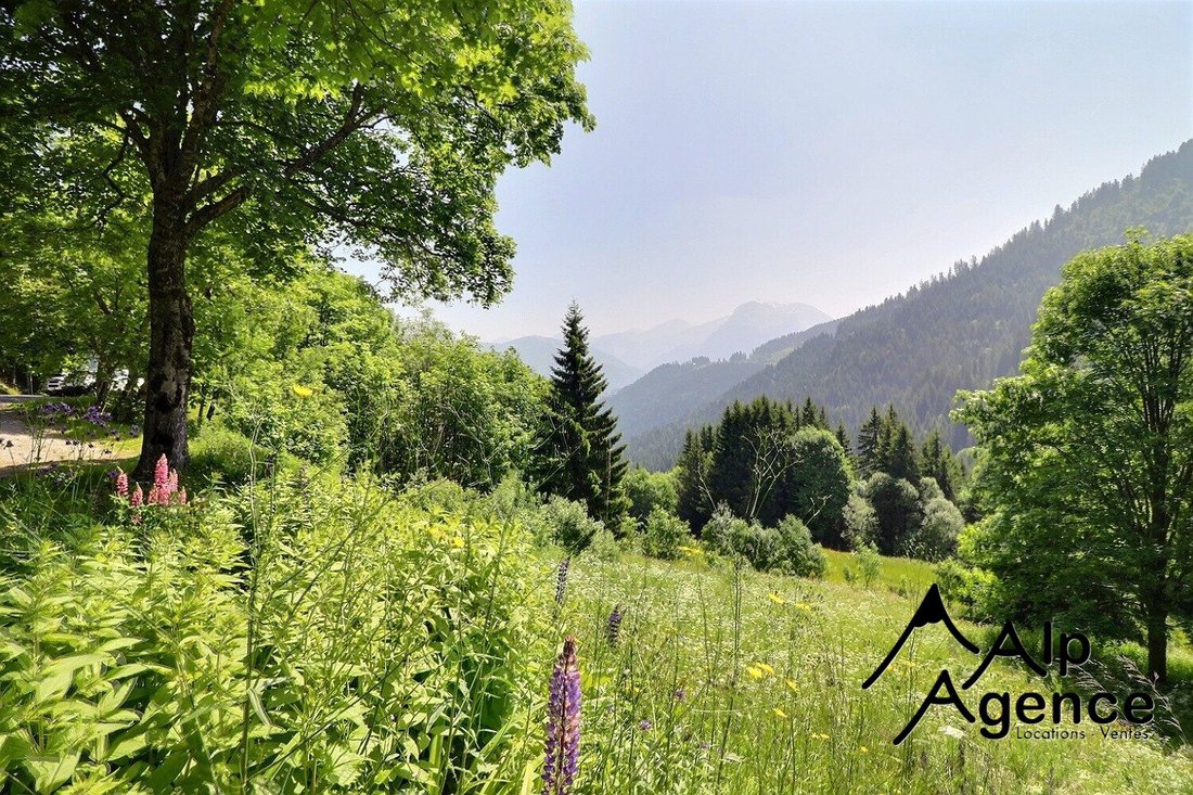 Chalet in La Côte-d'Arbroz, Auvergne-Rhône-Alpes, France 4 - 18389759