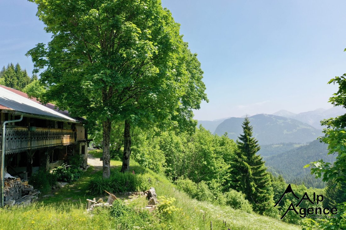 Chalet in La Côte-d'Arbroz, Auvergne-Rhône-Alpes, France 2 - 18389759
