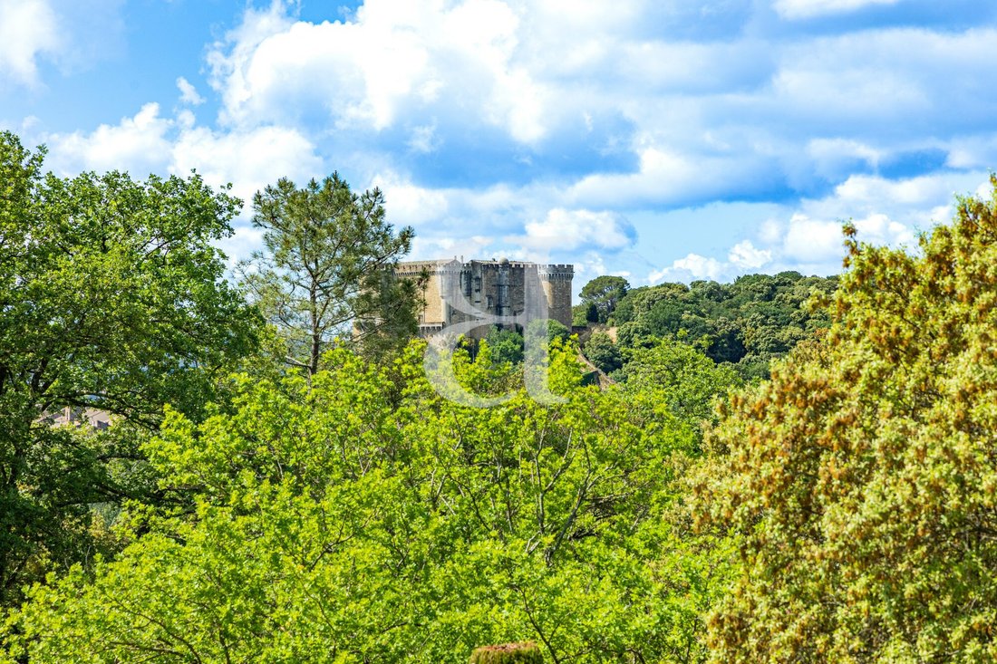 Villa in Suze-la-Rousse, Auvergne-Rhône-Alpes, France 3 - 17536141