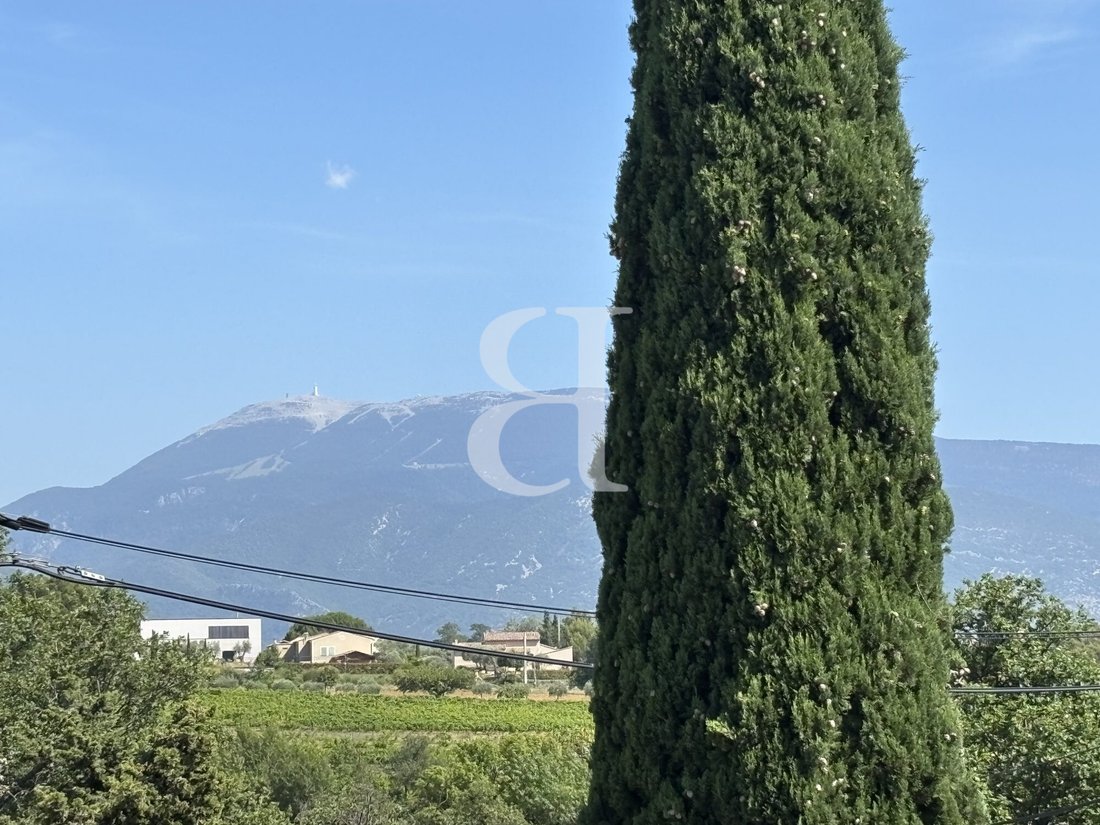 Country House in Puyméras, Provence-Alpes-Côte d'Azur, France 3 - 17688938