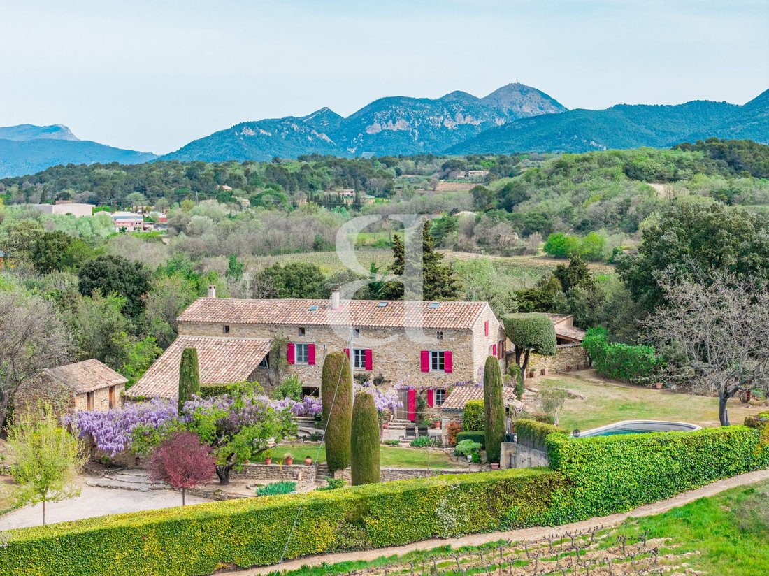Country House in Saint-Romain-en-Viennois, Provence-Alpes-Côte d'Azur, France 4 - 17016295