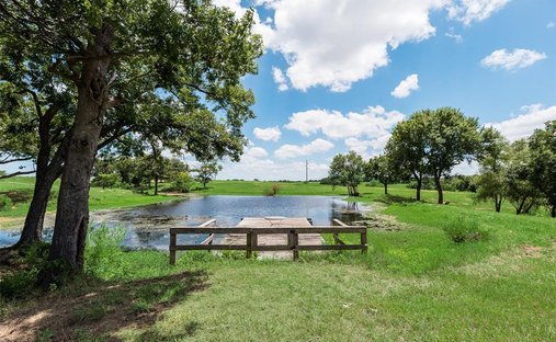 House in Bells, Texas, United States 1