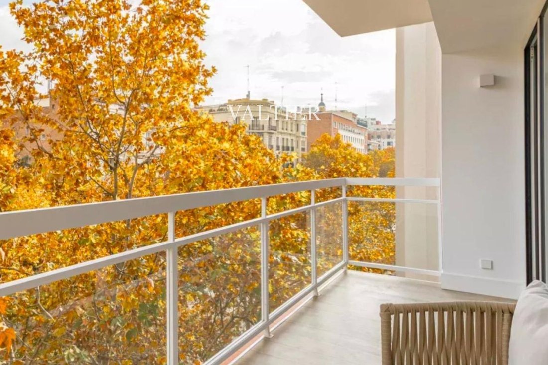 Apartment in Barrio Salamanca, Madrid, Spain 2 - 18391147