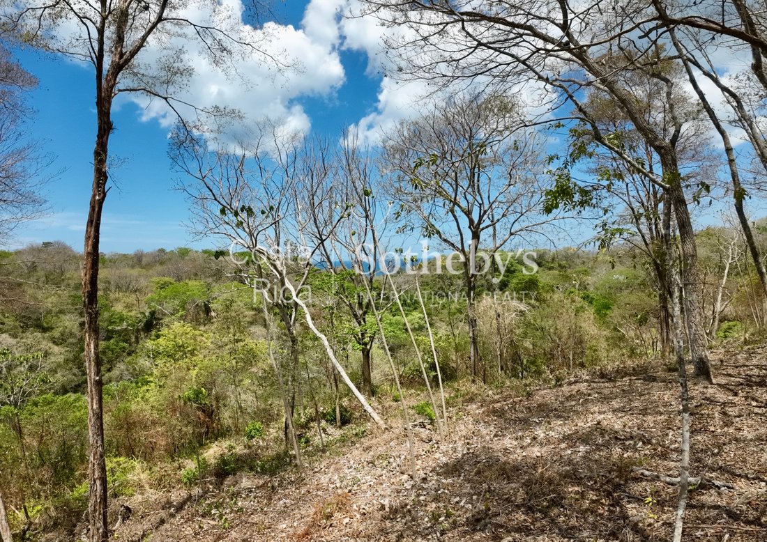 Land in Santiago, Puntarenas Province, Costa Rica 4 - 17802904