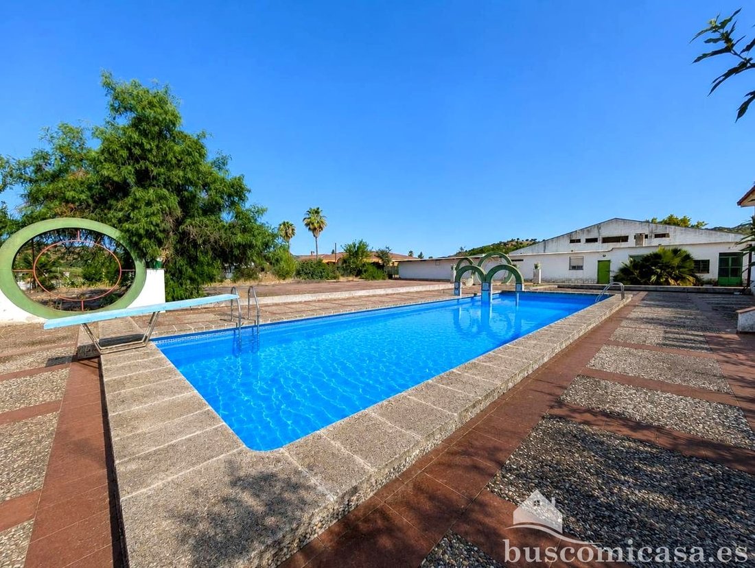 Country House in Linares, Andalusia, Spain 3 - 18392635