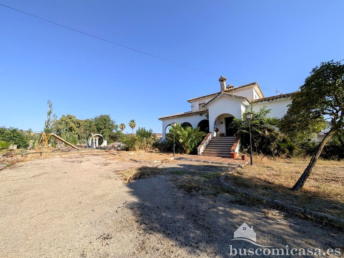 Country House in Linares, Andalusia, Spain 5 - 18392635