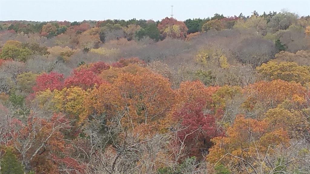 Farm Ranch in Dallas, Texas, United States 5 - 18391427