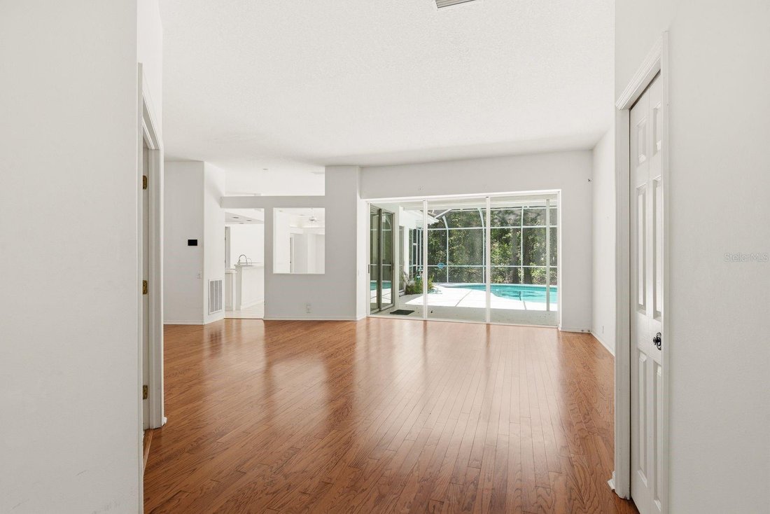 House in Palm Harbor, Florida, United States 5 - 18395670