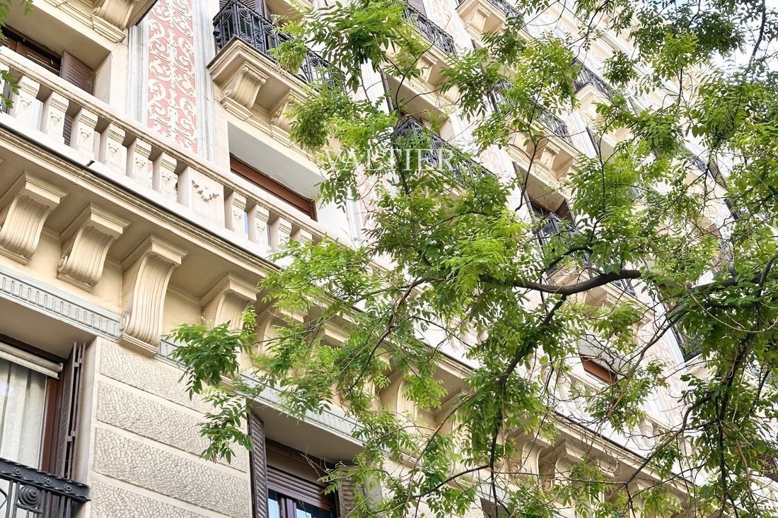 Apartment in Barrio Salamanca, Madrid, Spain 3 - 18391325