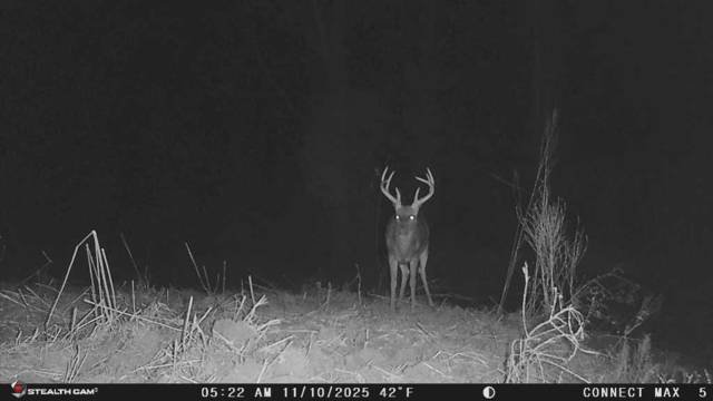 Land in Simmesport, Louisiana, United States 5 - 18390780
