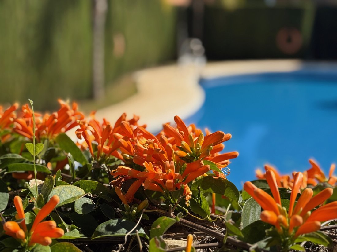 Townhouse in Estepona, Andalusia, Spain 4 - 18390986