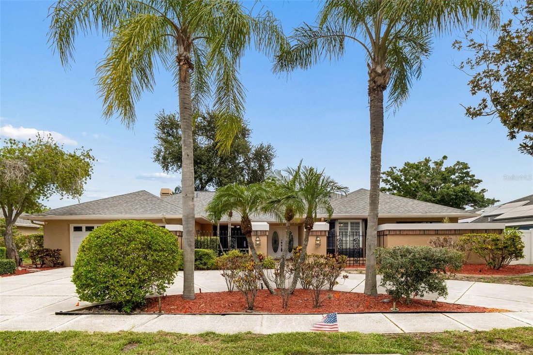 House in Clearwater, Florida, United States 1 - 18395056