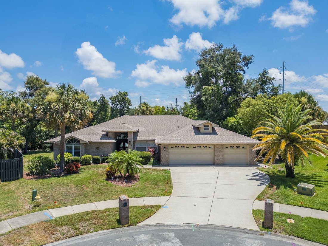 House in Palm Harbor, Florida, United States 1 - 18394922