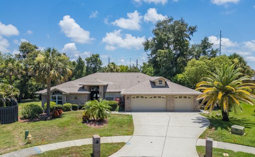 House in Palm Harbor, Florida, United States 1