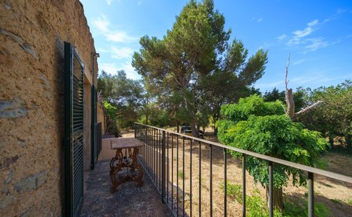 Estate in Arta, Balearic Islands, Spain 1