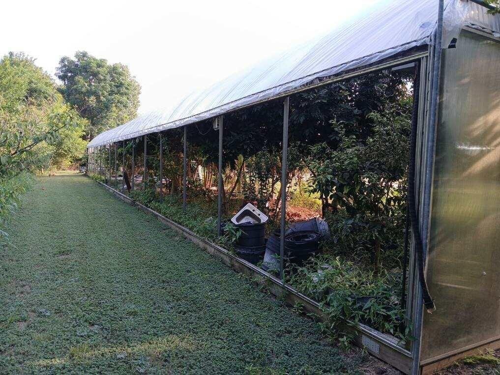 Farm Ranch in Dallas, Texas, United States 4 - 18391427