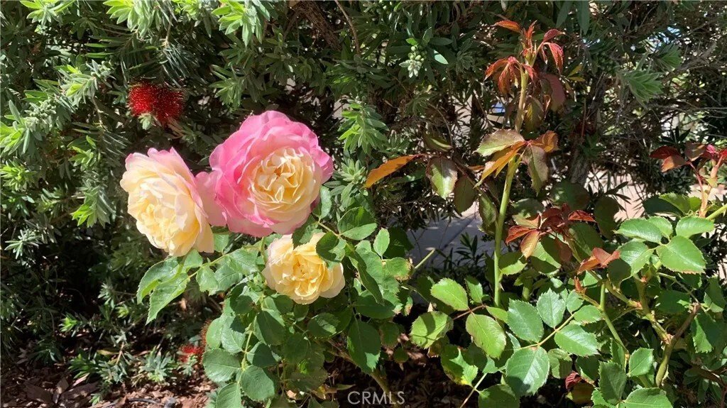House in Temecula, California, United States 5 - 18392340