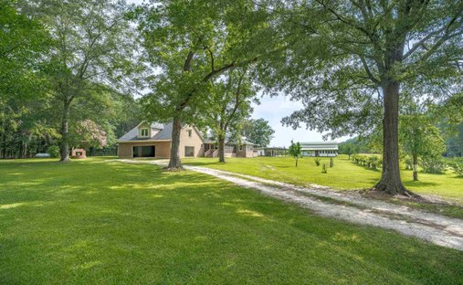 House in Ward, South Carolina, United States 1